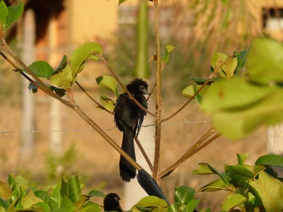 P1220334