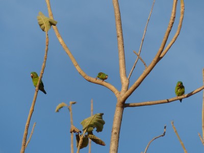 P1220362