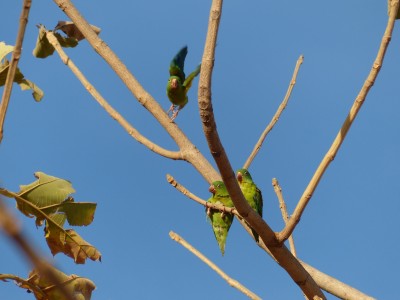 P1220383