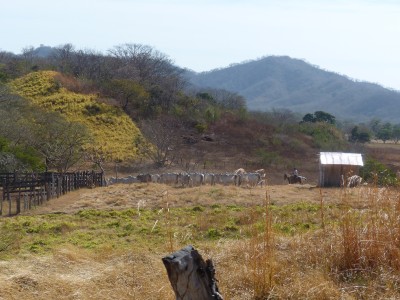 P1220416