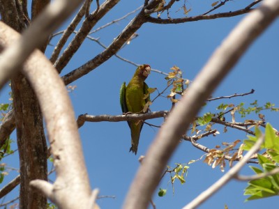 P1220584