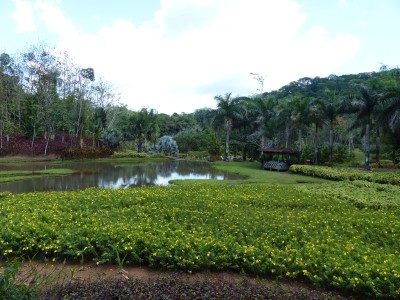 P1220780
