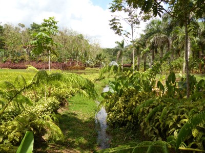 P1220783