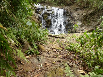P1220799