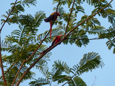 P1220882