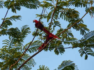 P1220883