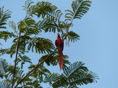 P1220892