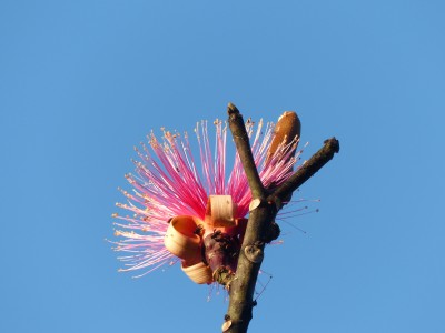 P1220990