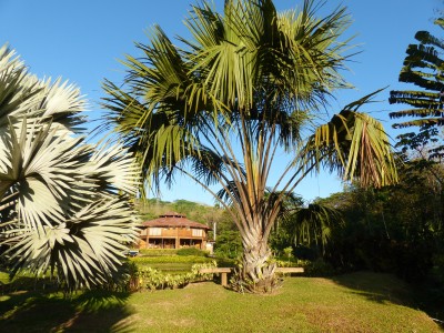 P1230014