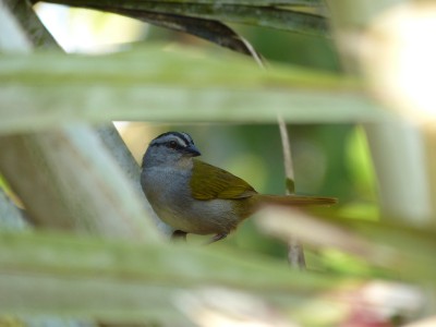 P1230019
