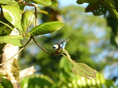 P1230058