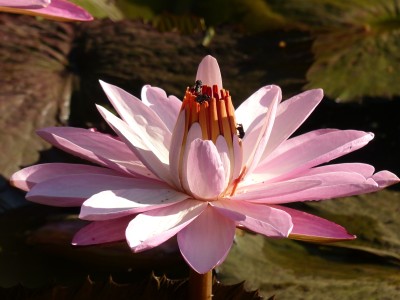 P1230059