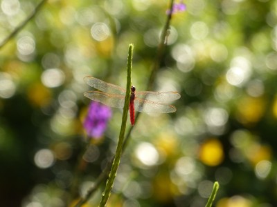 P1230105