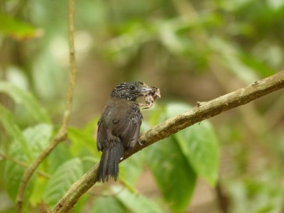 P1230449