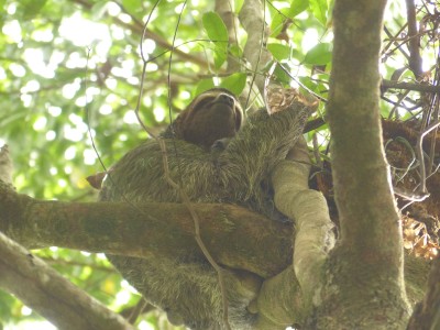 P1230507