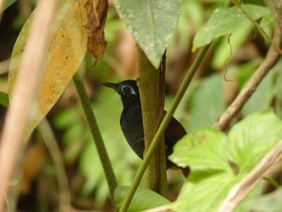 P1230552