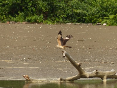 P1230701