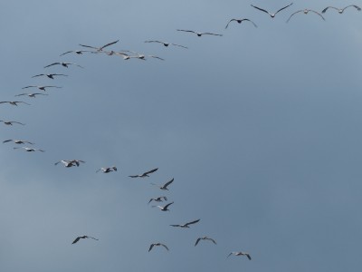 P1230743