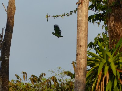 P1240067