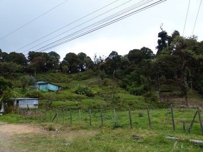 P1240100