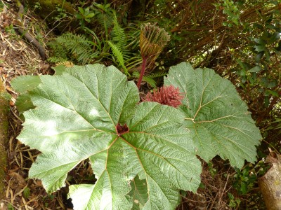 P1240310