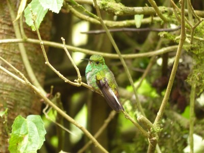 P1240512