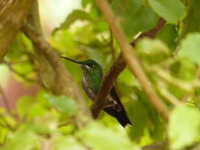 P1240728