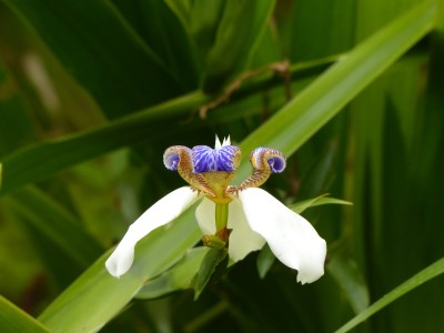 P1240755