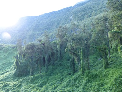 P1250354