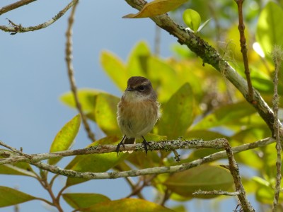 P1250392