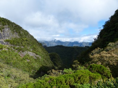 P1250398