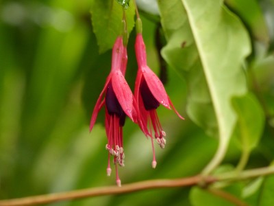 P1250690