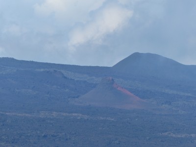 P1260046