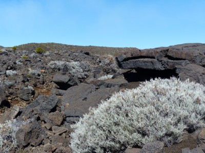 P1260061