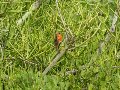 P1260260