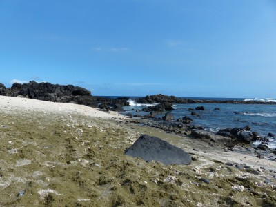 P1260277