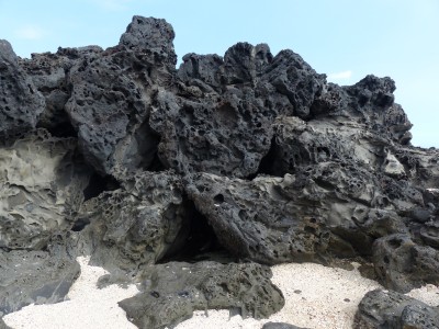 P1260278