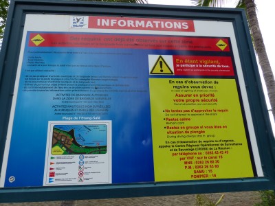 P1260301