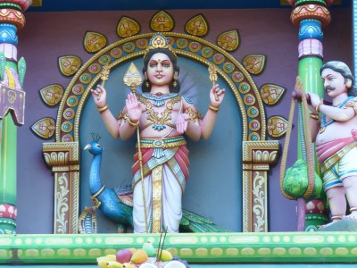 Temple Tamoul Narassingua