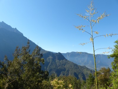 P1260388