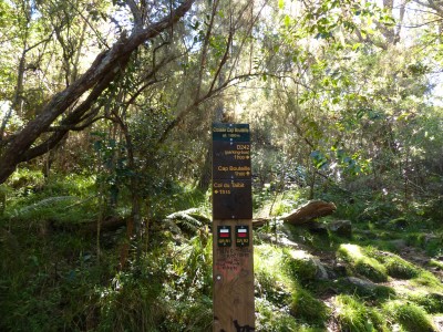 P1260401