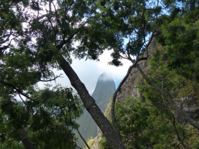 P1260441