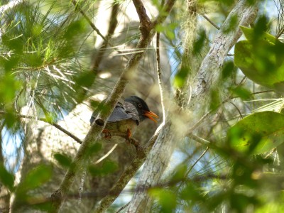 P1260448
