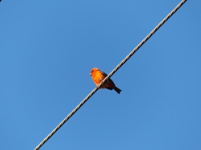 P1260516