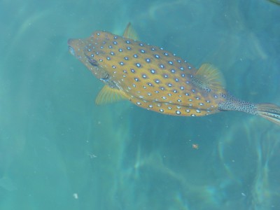 P1260672