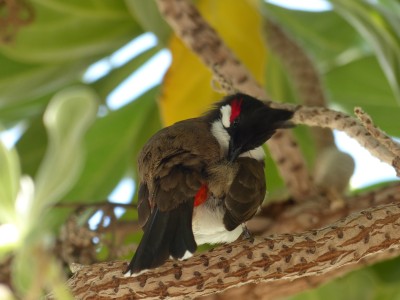 P1260753