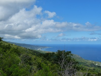 P1260973