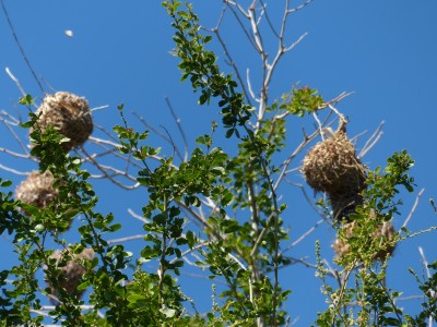 P1270044