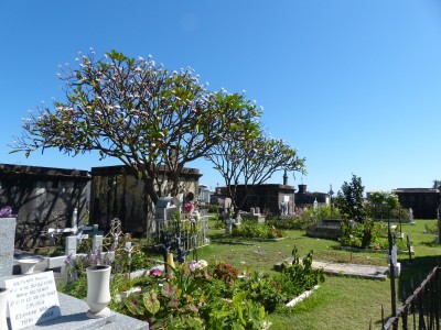P1270069