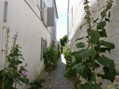 Saint-Martin de Ré
